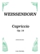 CAPRICCIO OP 14 BASSOON SOLO cover